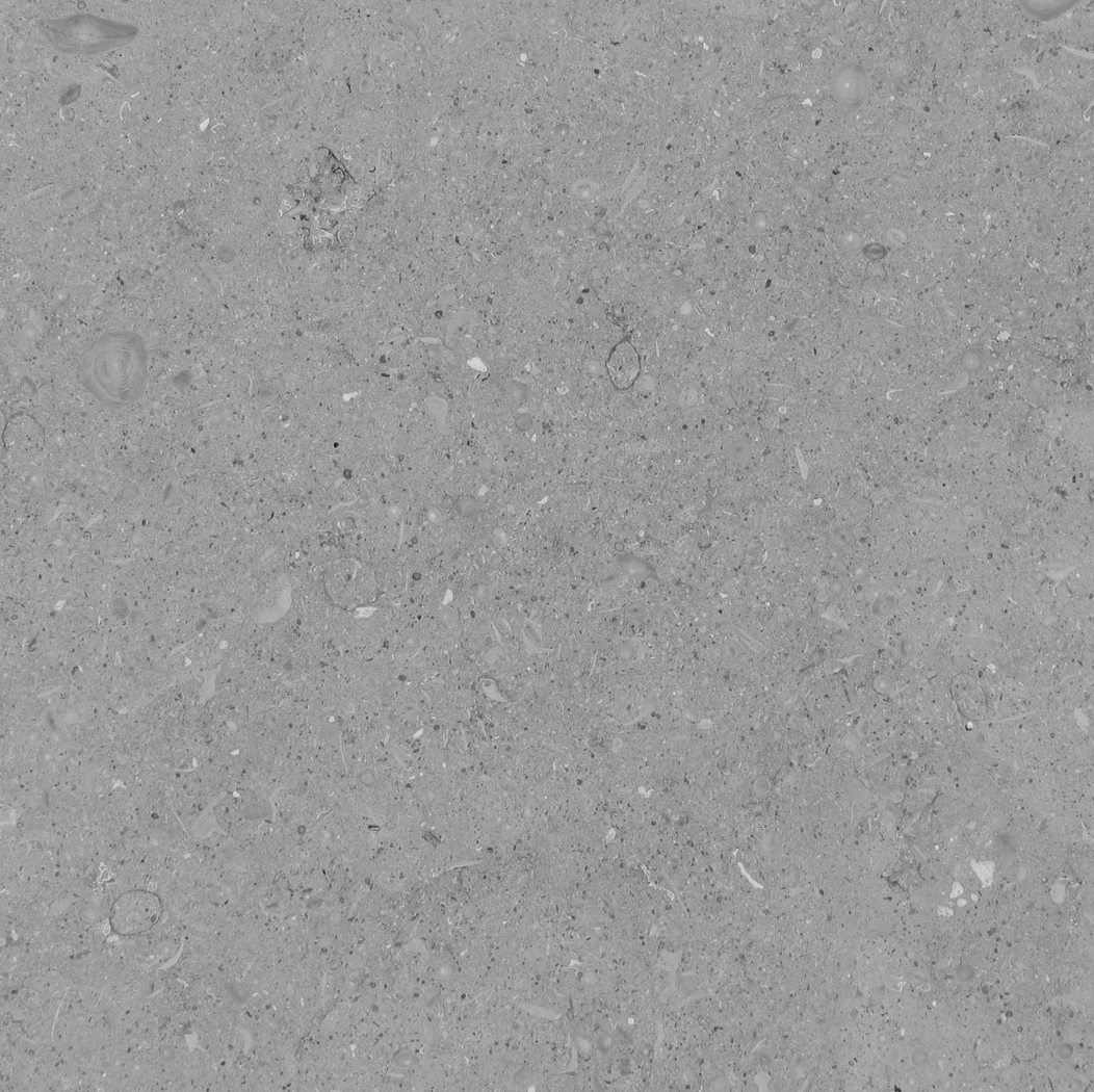 Grigio Alpi, bush-hammered. Vicenza stone.