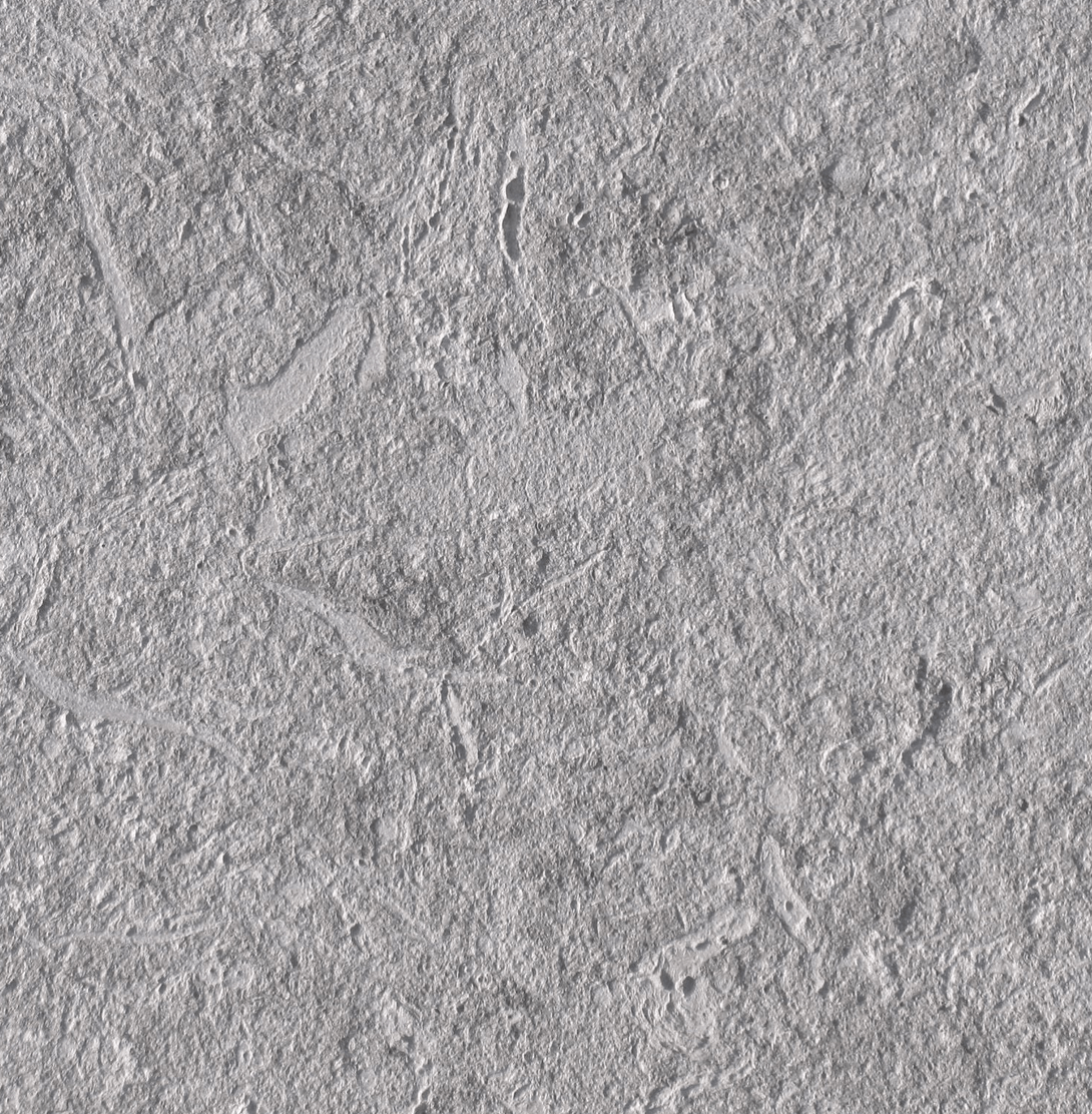 Grigio Alpi, sanded. Vicenza stone.