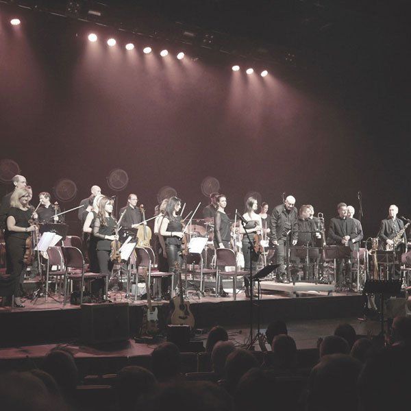 Klassische Philharmonie NordWest, Orchester