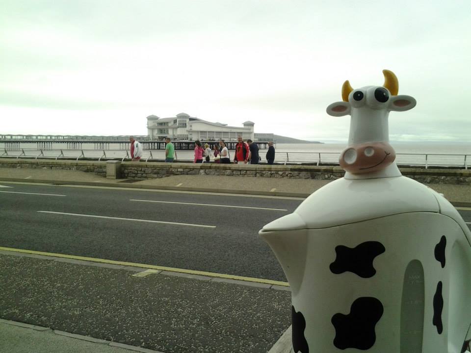Our cow at Weston Super Mare... Don't ask.