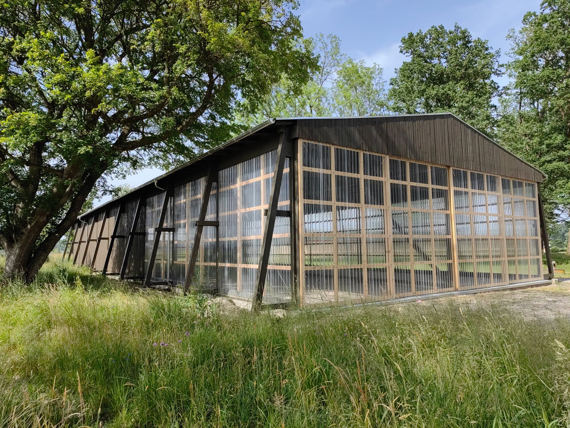 Moderne Hallensanierung aus Holz- nachhaltige Zimmerei von bauwerk singer