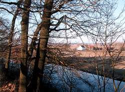 Spaziergang an der Mulde