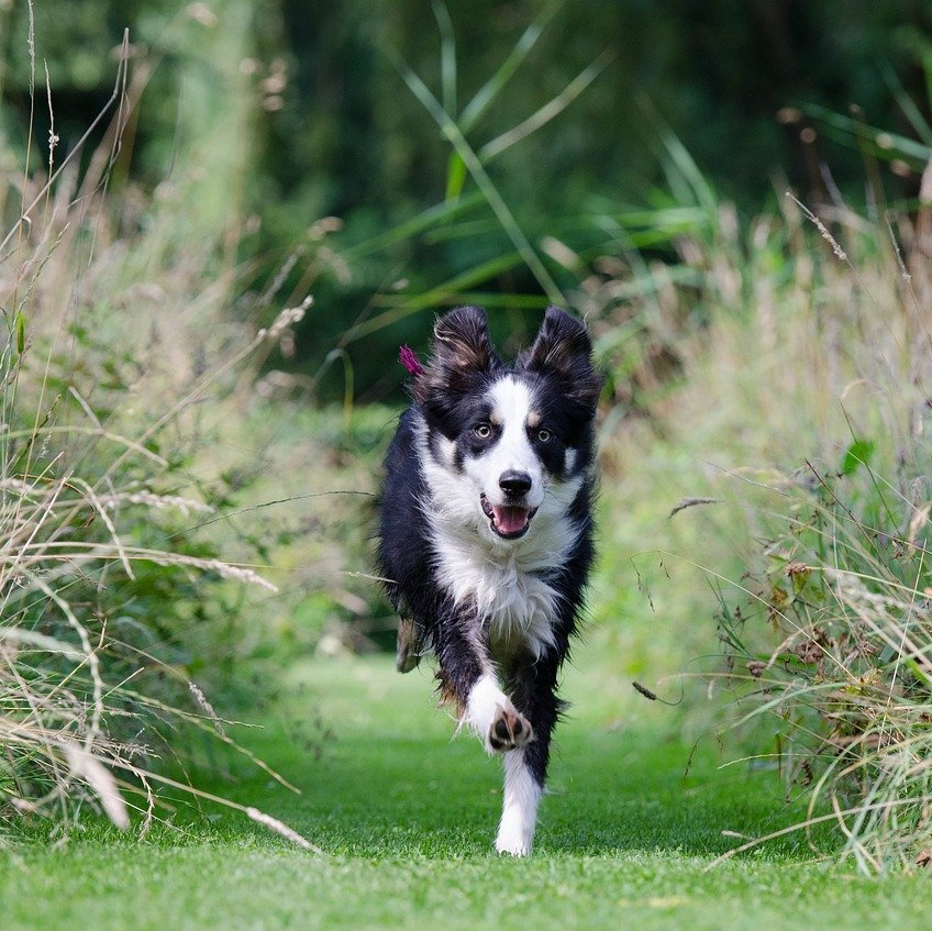 find-and-retrieve.de