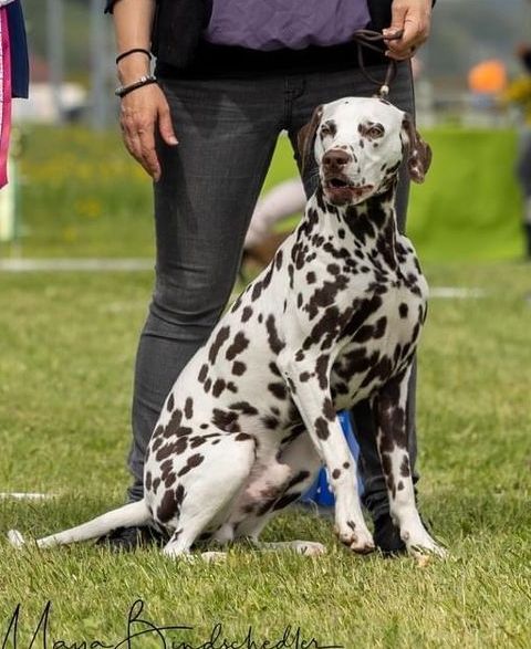 Siruna´s astrum Noctis Siruna´s astrum Noctis