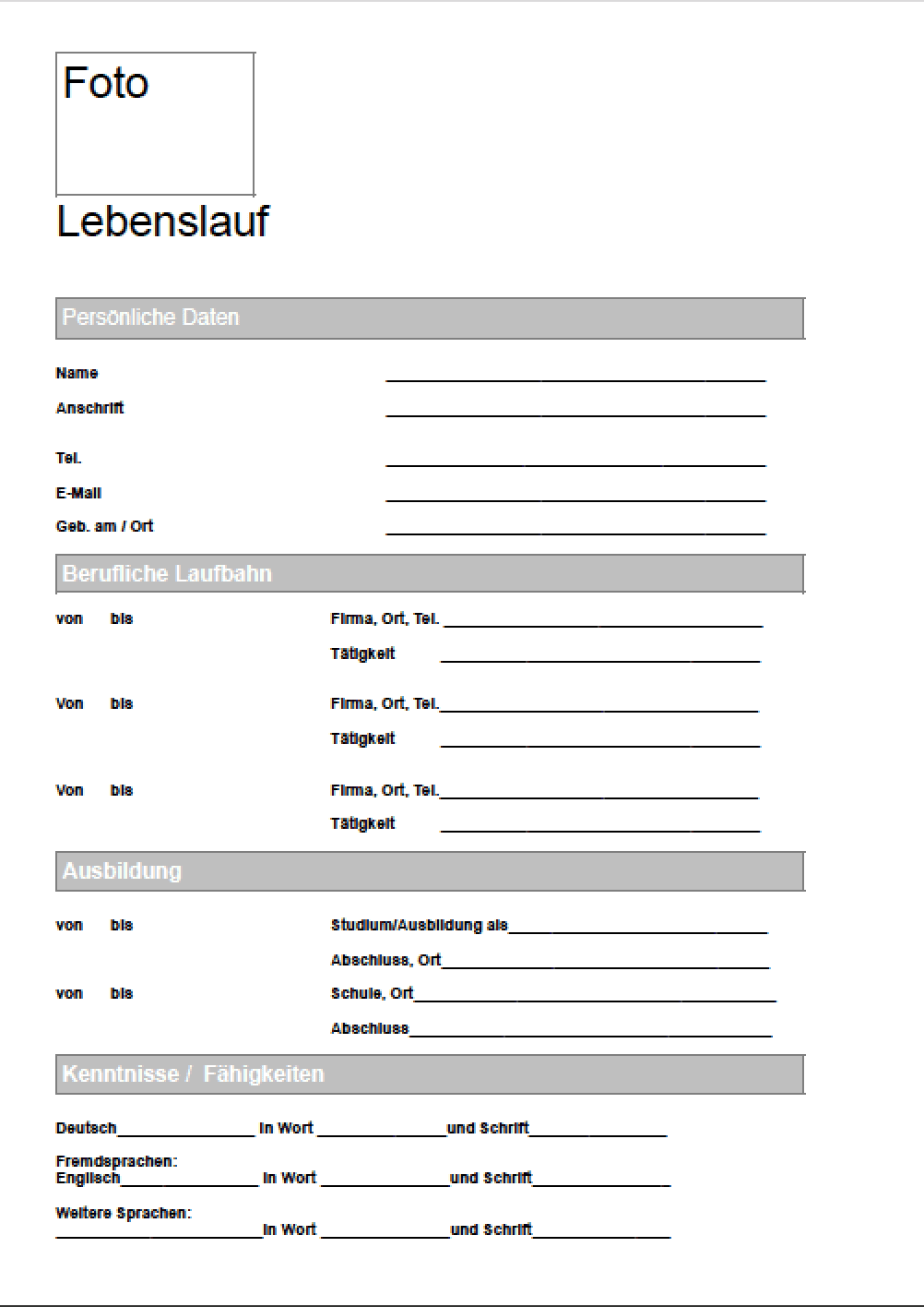 Lebenslauf Fragebogen