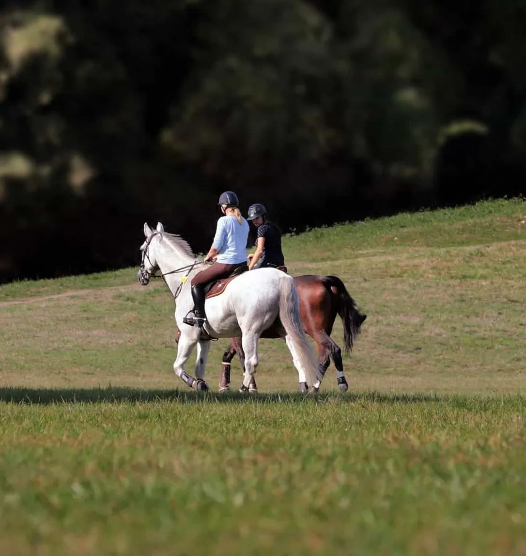 Reiter vertrauen auf die Uelzener Pferdehalter-Haftpflichtversicherung