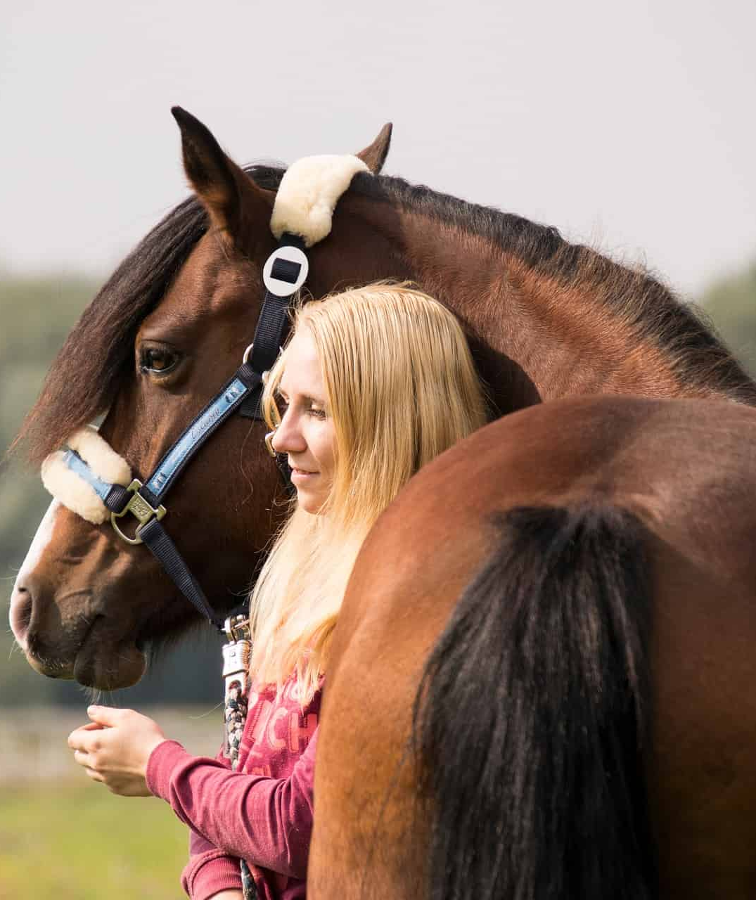 Ein Aufenthalt in der Klinik kann teuer werden, die Pferde-OP-Versicherung übernimmt die OP-Kosten