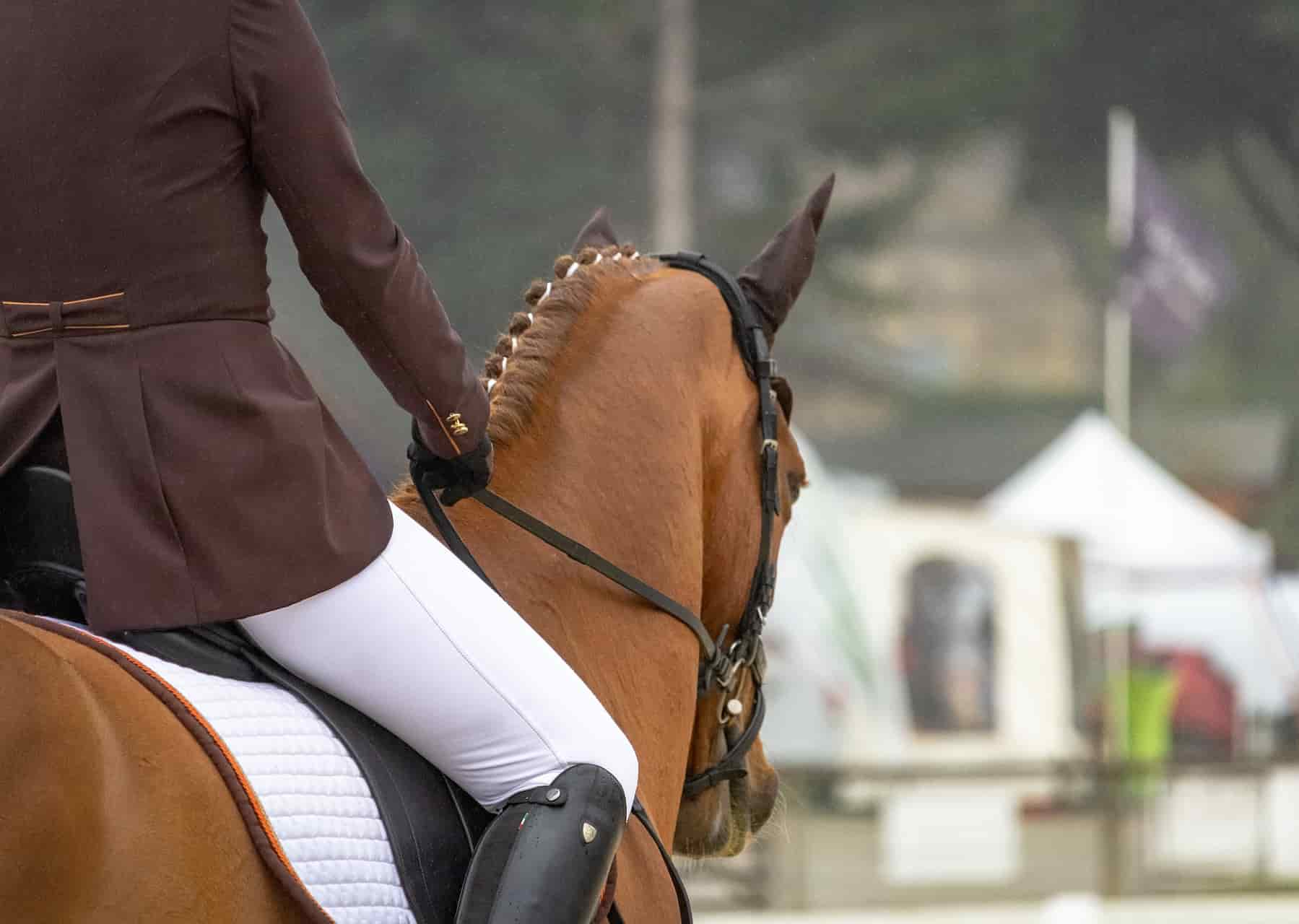 Pferde Haftpflichtversicherung Die Haftpflichtversicherung deckt auch Schäden während dem Reitturnier