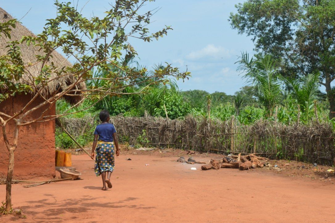 Projet Niaouli Phase 2 - ONG Luciole