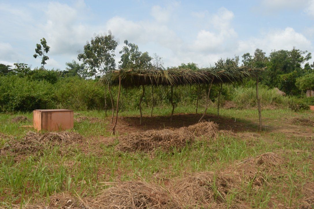 Projet Niaouli Phase 1 - ONG Luciole