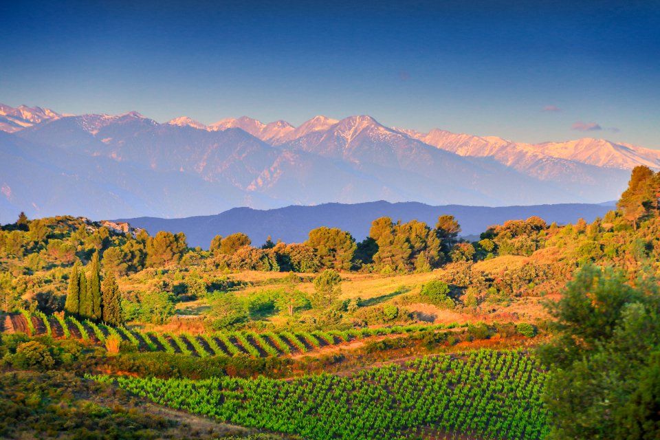 Sud de France Sud de France