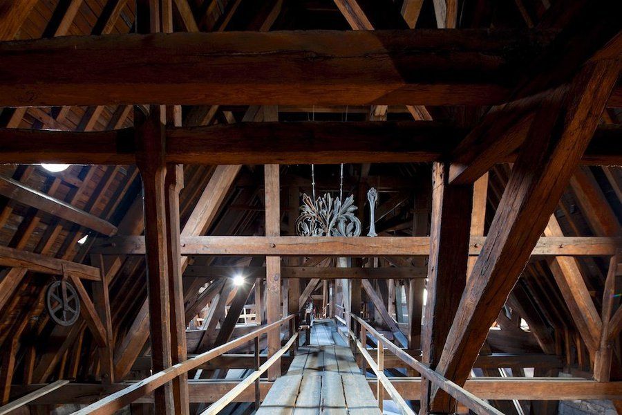 Le bois de la forêt de Notre-Dame de Paris