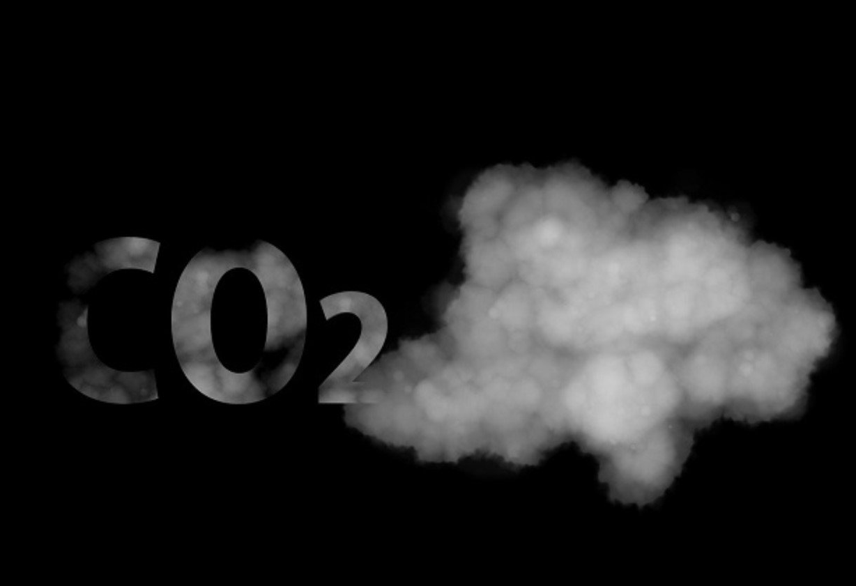 CO2 et filière forêt-bois