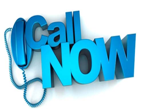 Wasps & Hornets Republic, Mo