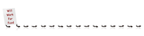 Pest control for Ants