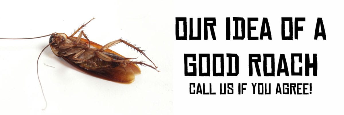 Get rid of cockroaches in Ozark Mo
