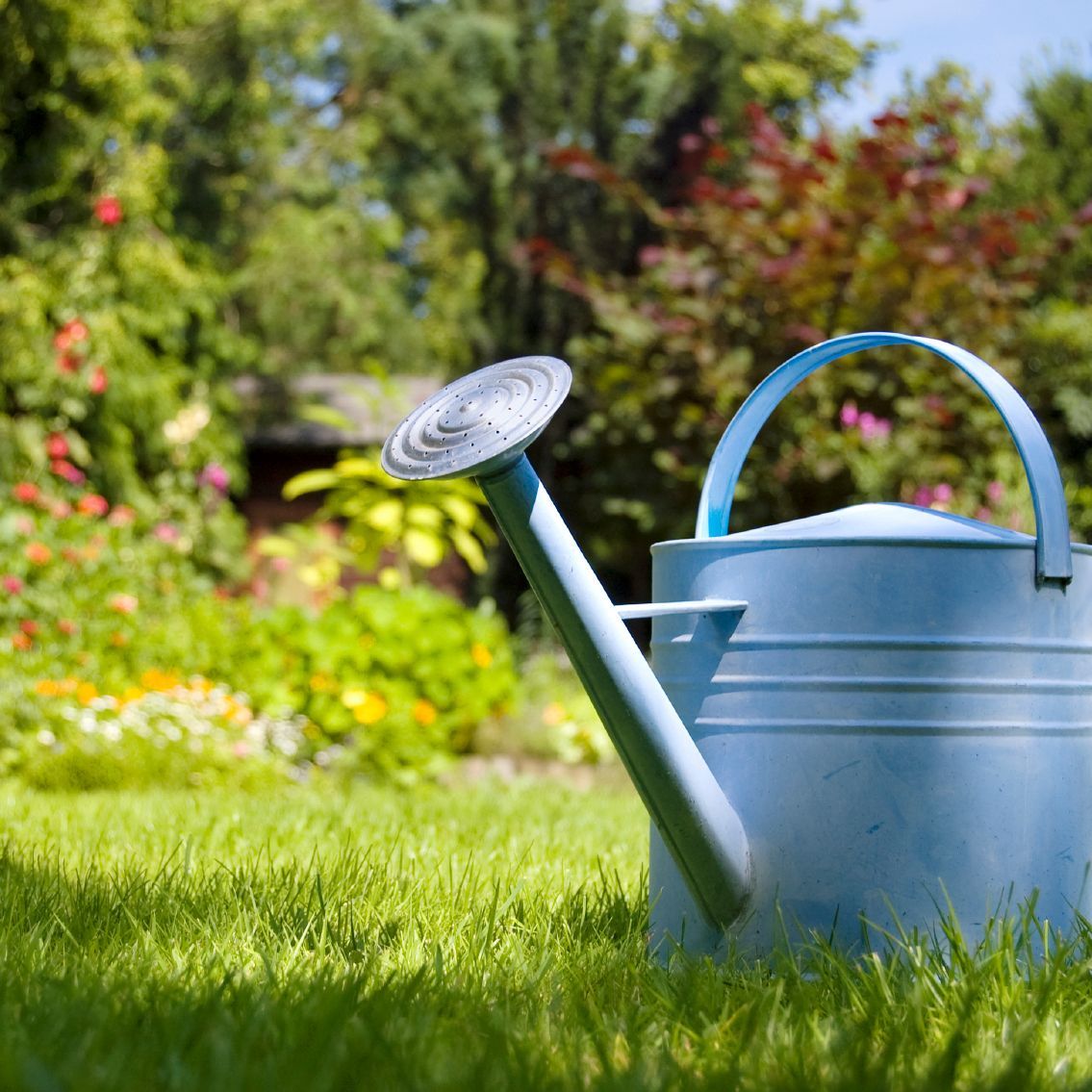 Jardinier chartres Eure et Loir 28