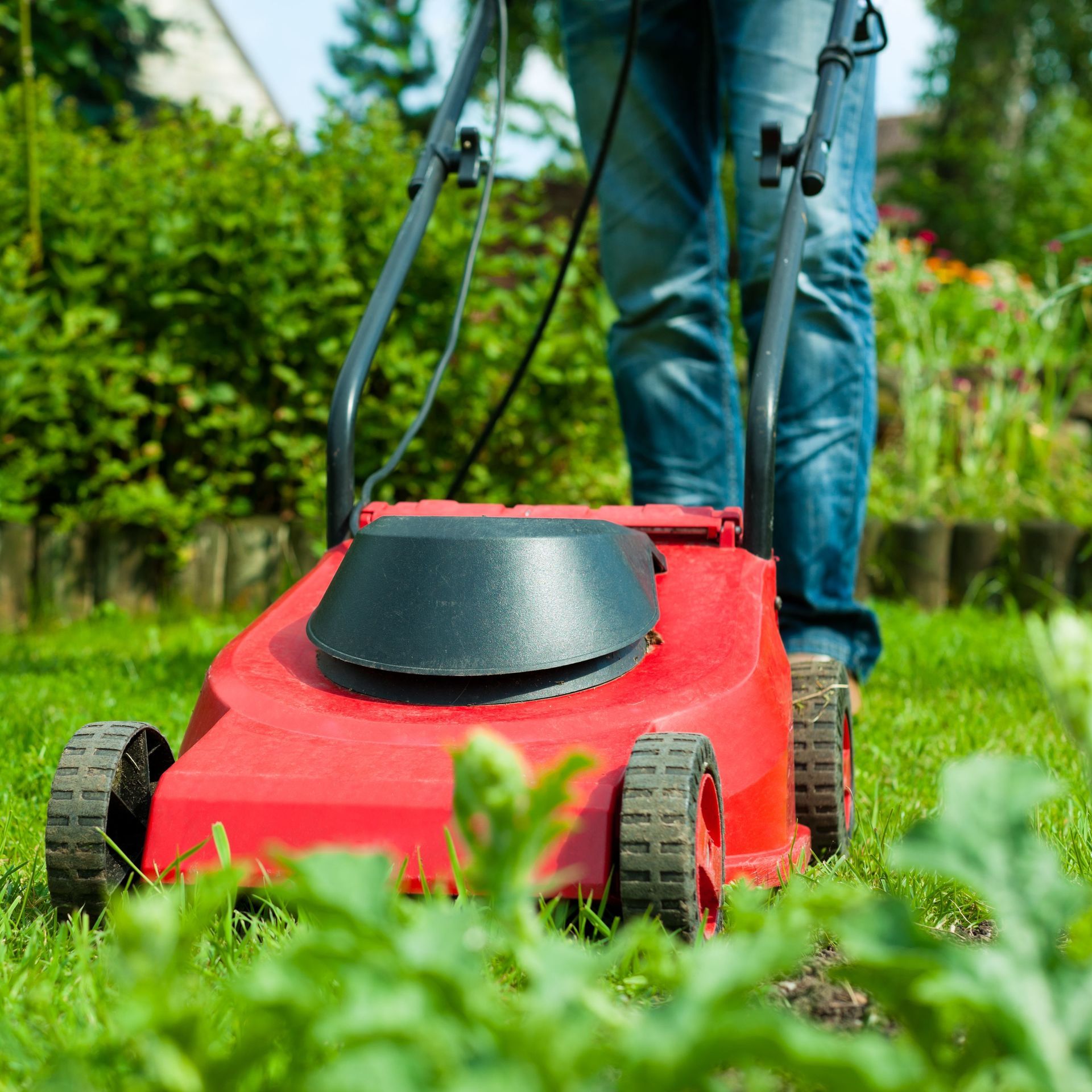 Création paysagère chartres Eure et Loir 28