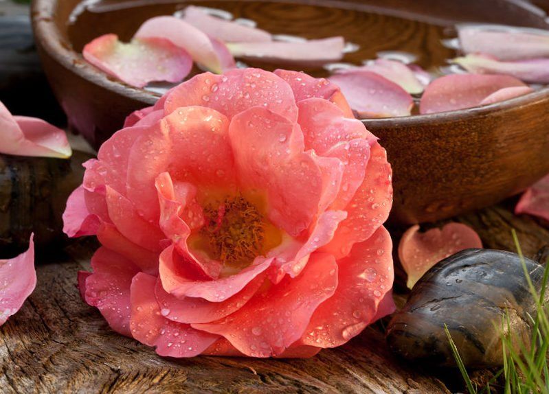 Tantra Mexico sexo mujer masaje yoni orgasmo sanacion holística terapia retiros