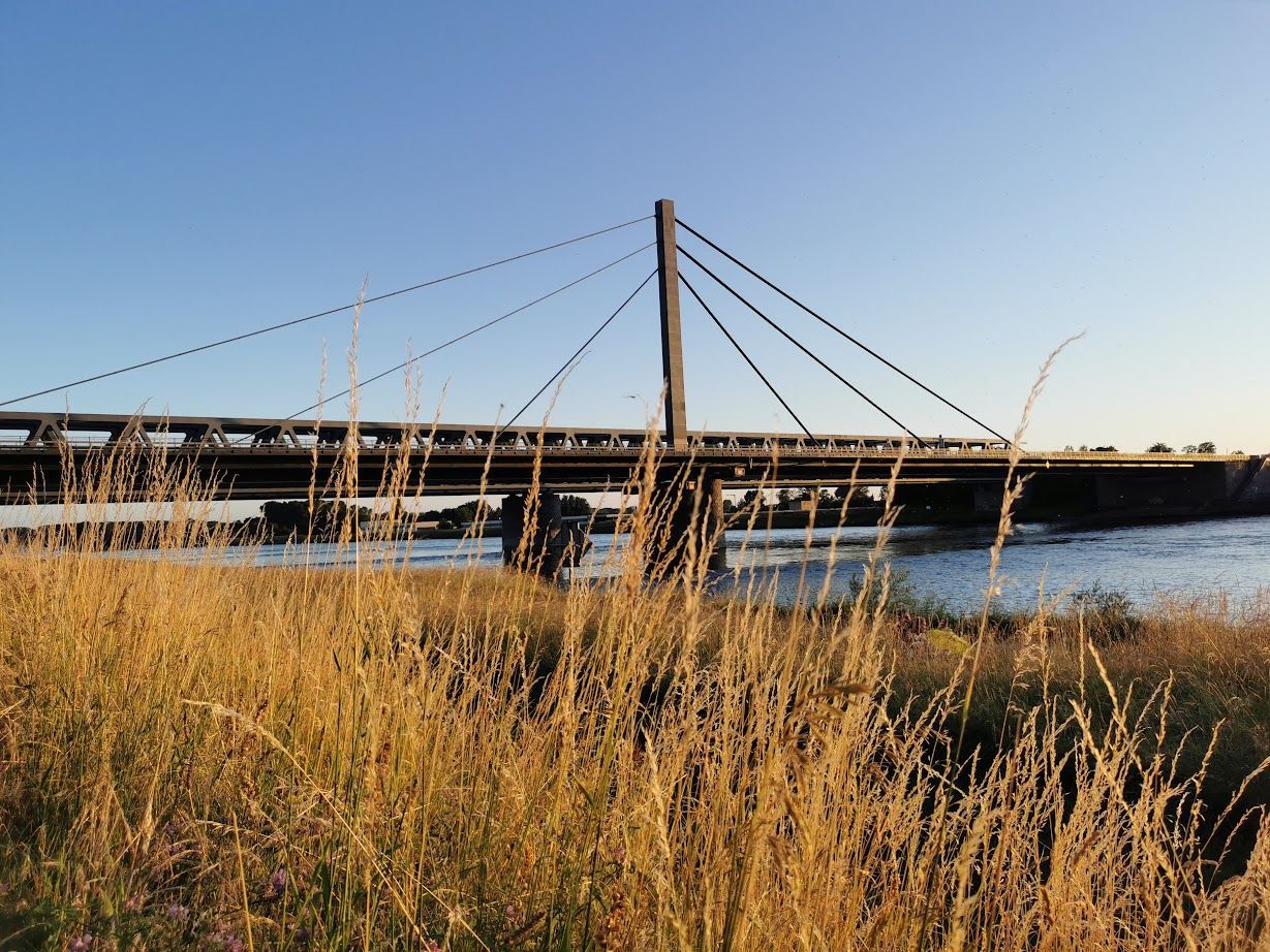 Rheinterrassen Karlsruhe Rheinbrücke Aussicht Location Rheinblick Hochzeit
