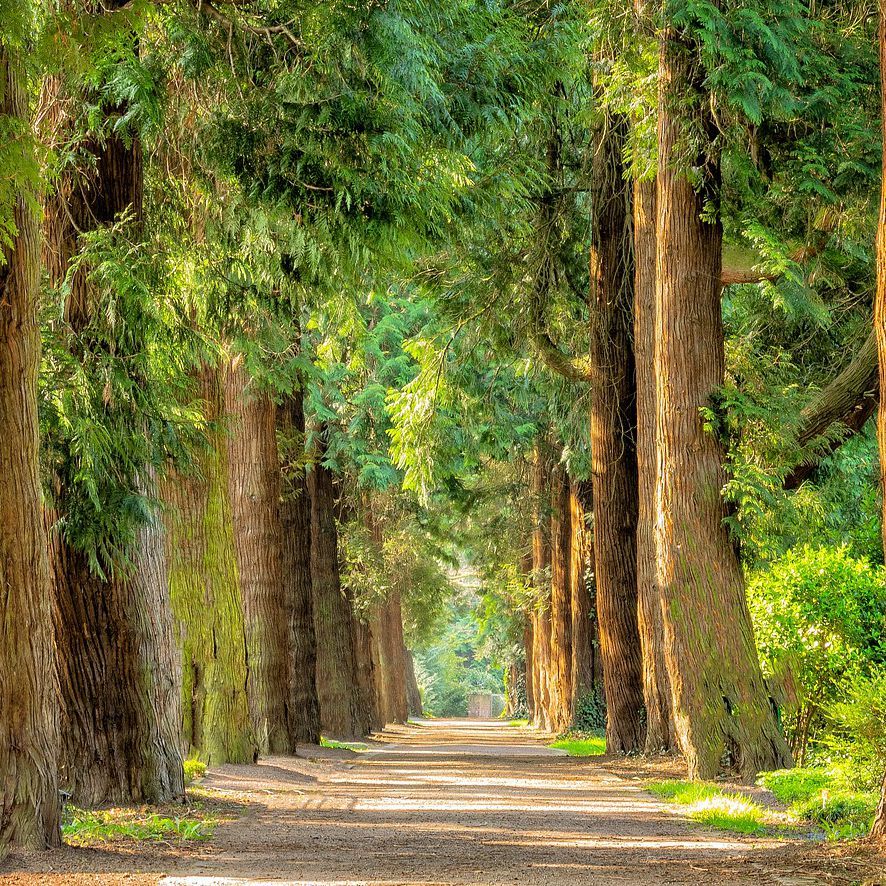 Weg zeigt Schwerpunkte der Praxis Dr. Höffer