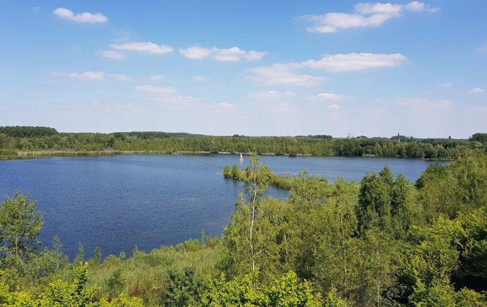 Étang des Argales à Rieulay