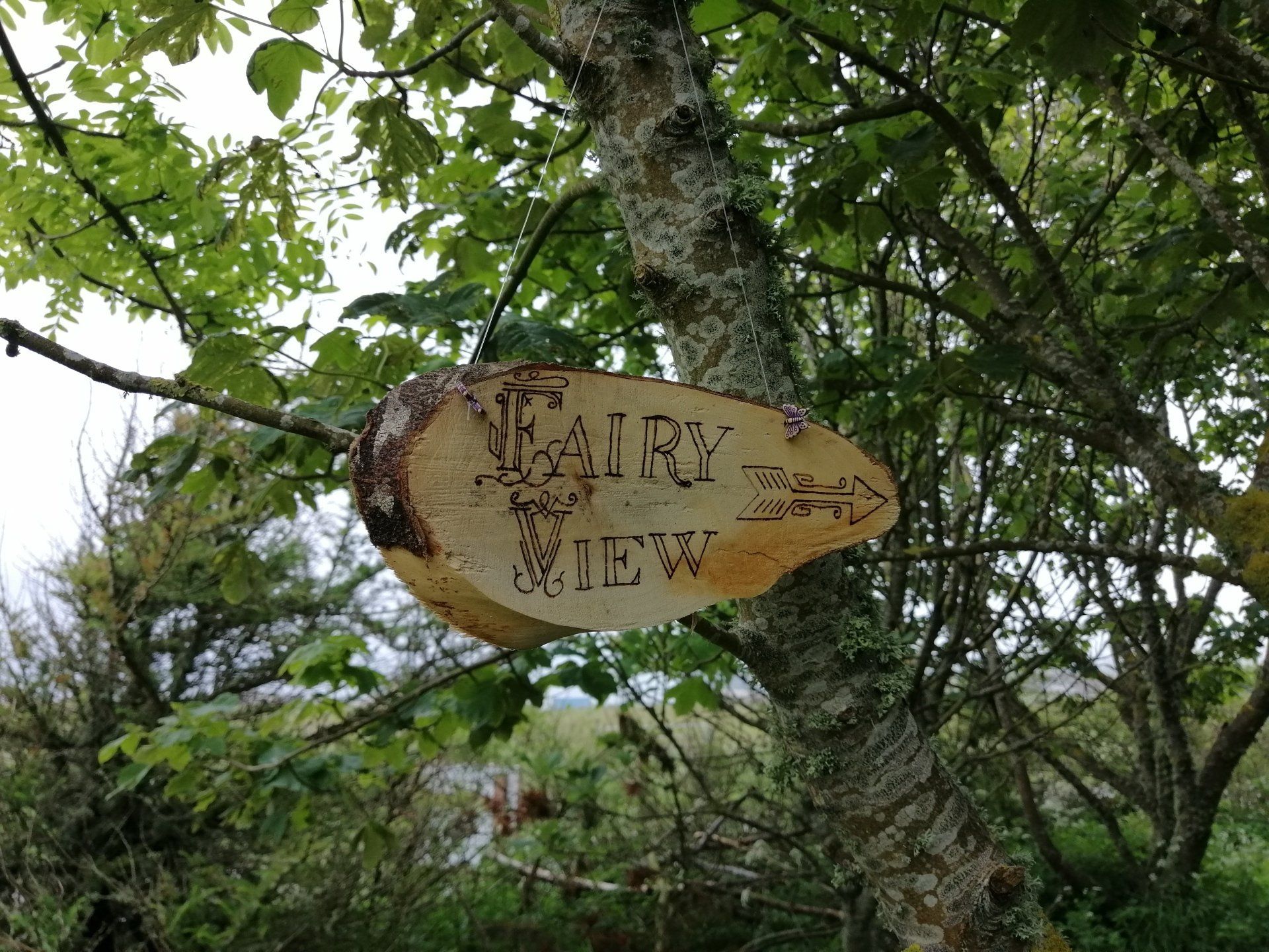 Campsite Nc500 crafts