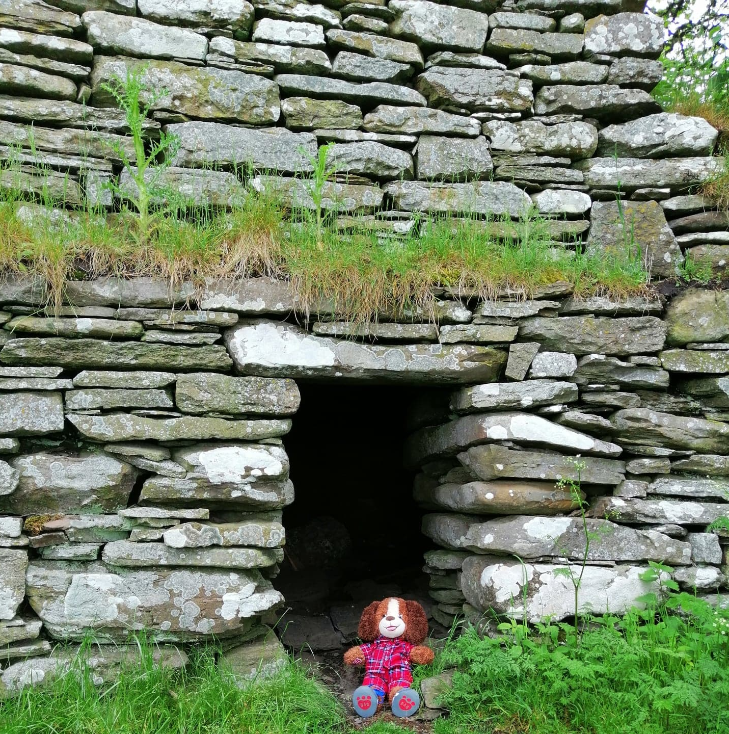 Campsite NC500 things to do