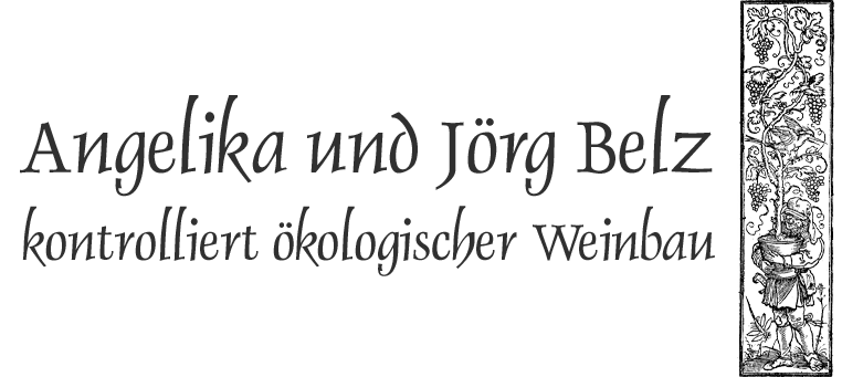 Weinbau Belz, Weinhandel, Weinverkauf