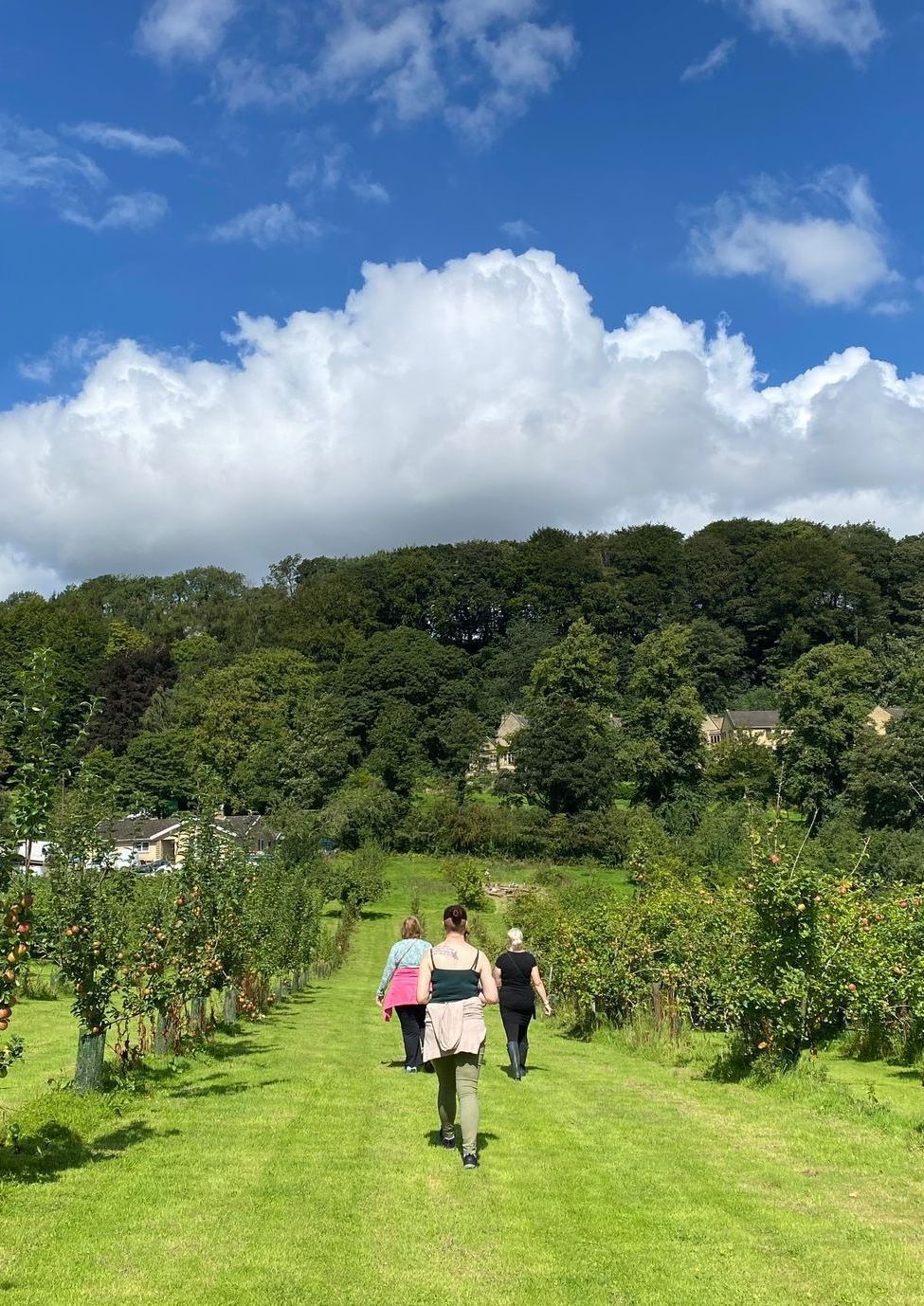 A list of other nature connection organisers and activities in the Howardian Hills | The Nature Connectors was a community project managed by Adventures for the Soul