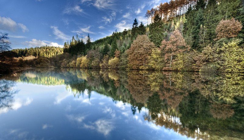 Staindale Lake in Dalby Forest
