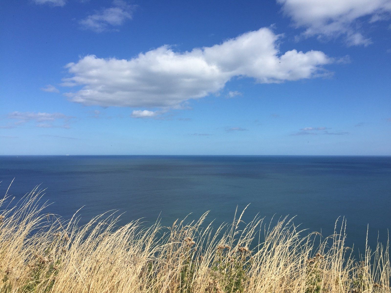 View from the Cleveland Way heading towards Cloughton