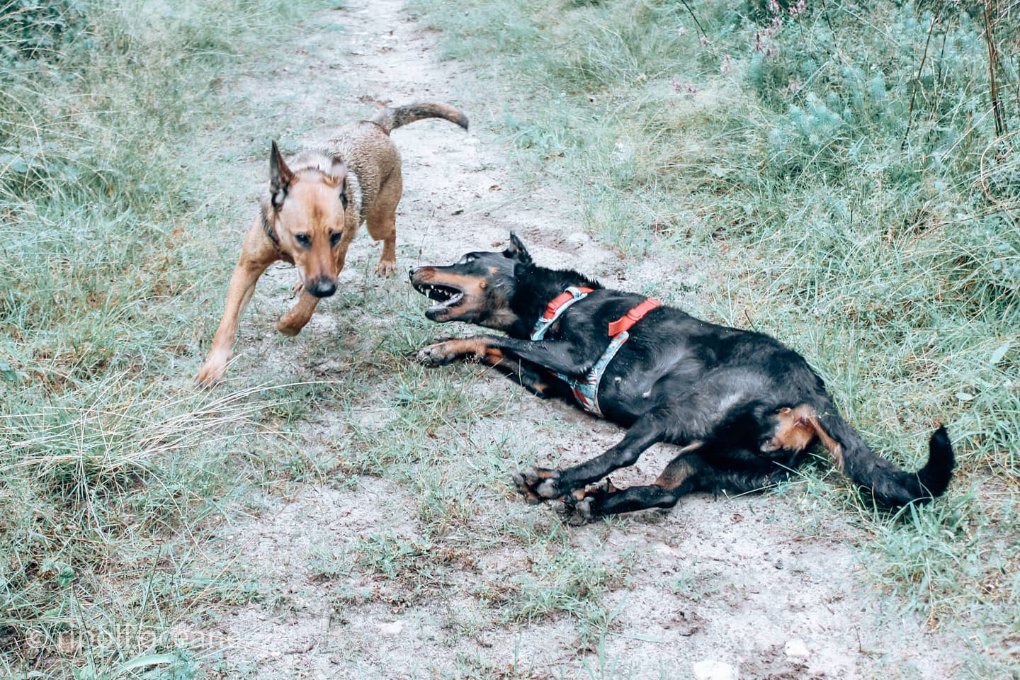 Séance de rééducation