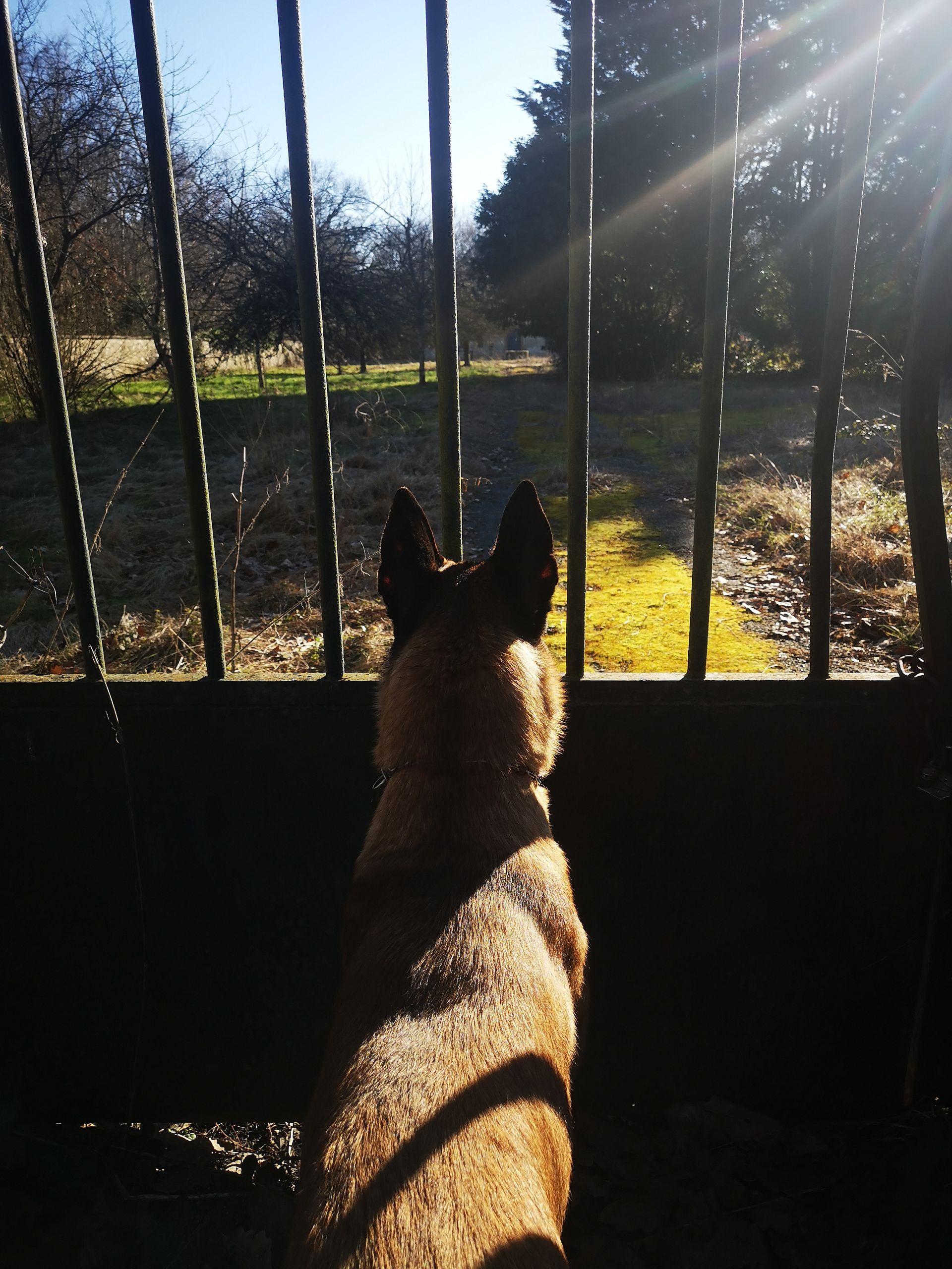 Séance de rééducation