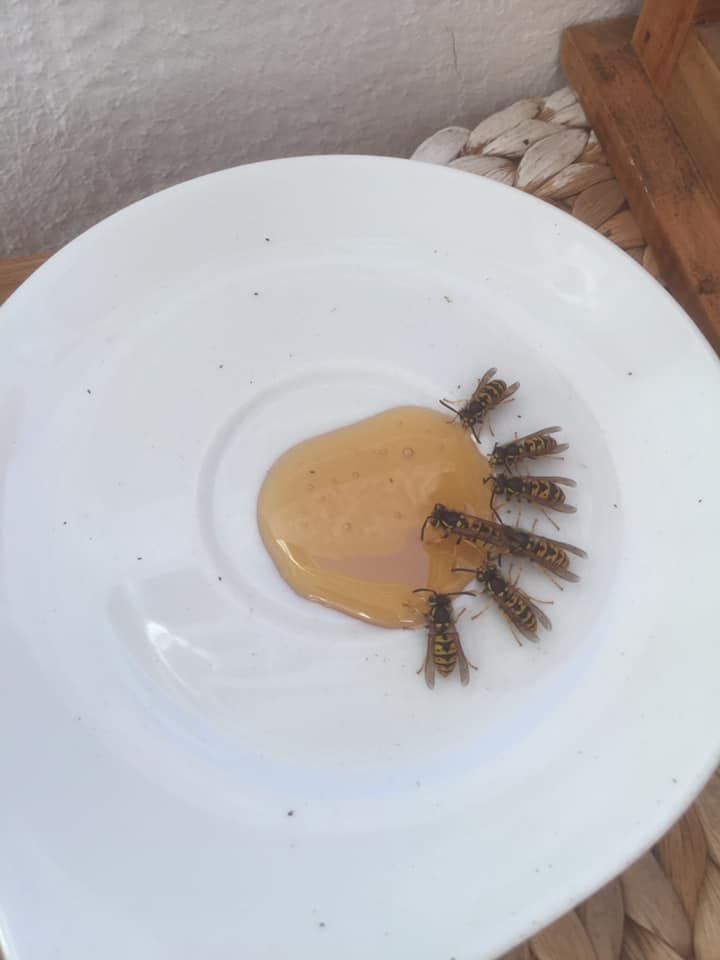 Foto by Thilo Schneider Foto by Thilo Schneider