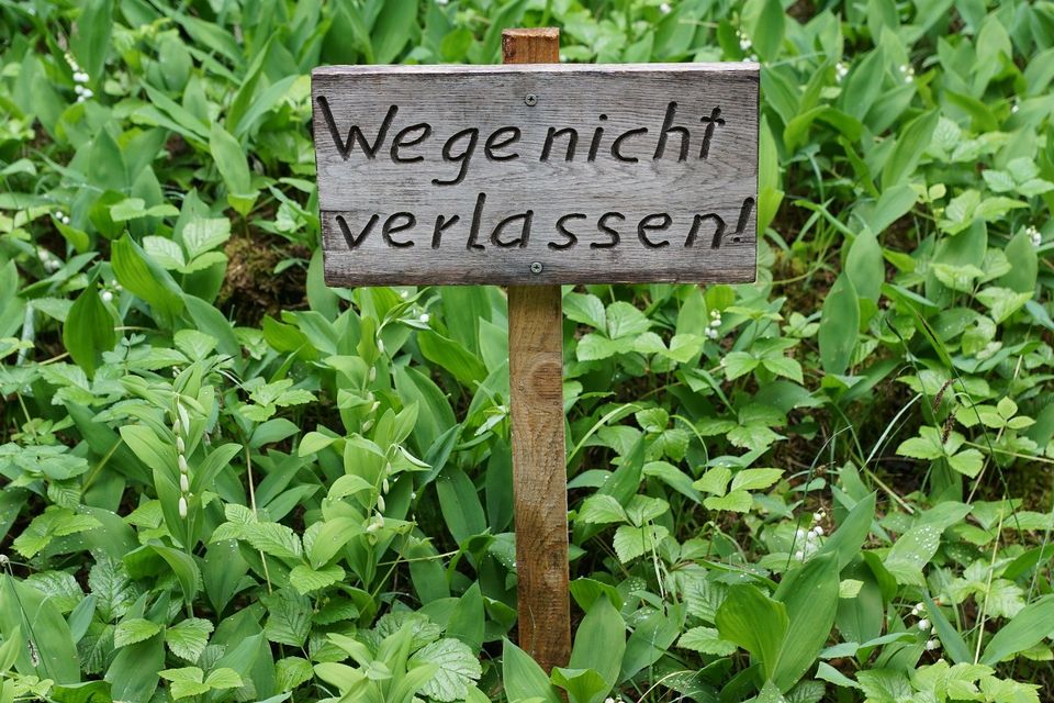 Bild von photosforyou auf Pixabay Bild von photosforyou auf Pixabay