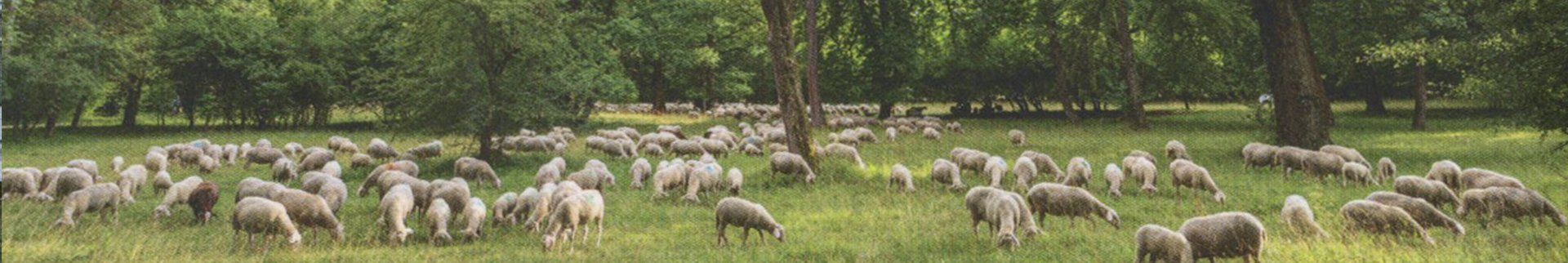 Perlen Ausgewählte Freiräume in München Gesamtes Verlagsprogramm