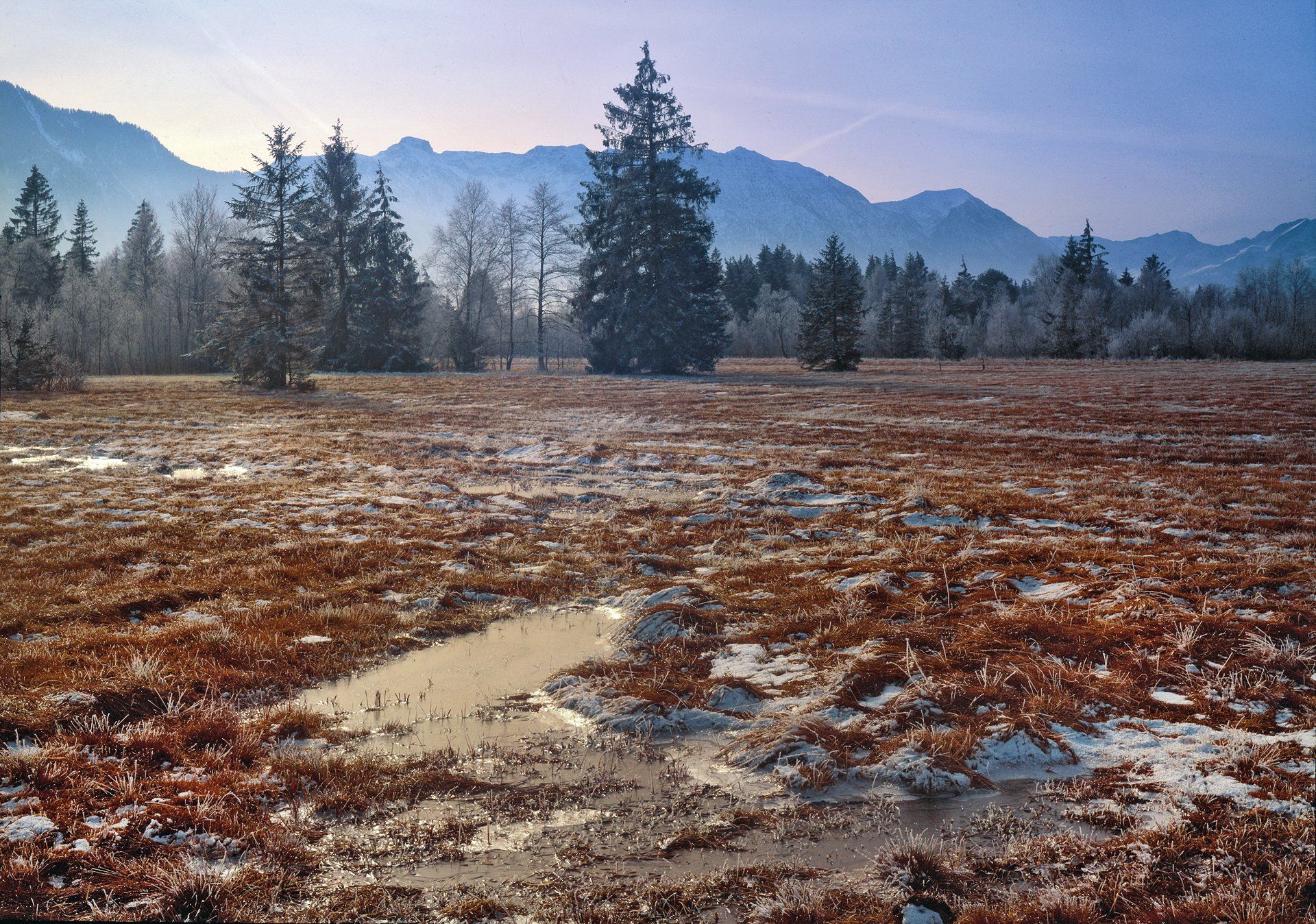 Kultivierte Wildnis Murnauer Moos Kultivierte Wildnis Murnauer Moos