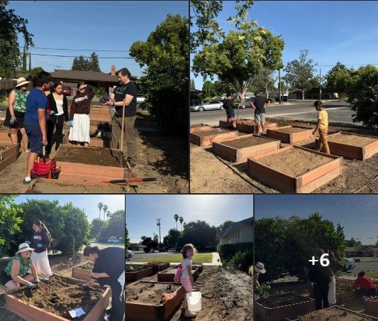 community garden