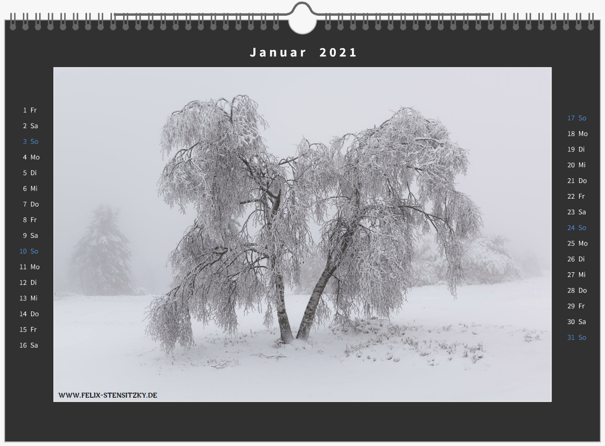 Landschaftsfoto in Kalender 2021 von einem Baum in Schneelandschaft