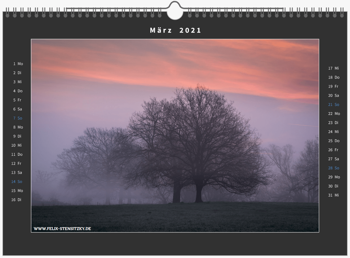 Auenlandschaft mit Nebel zum Sonnenaufgang