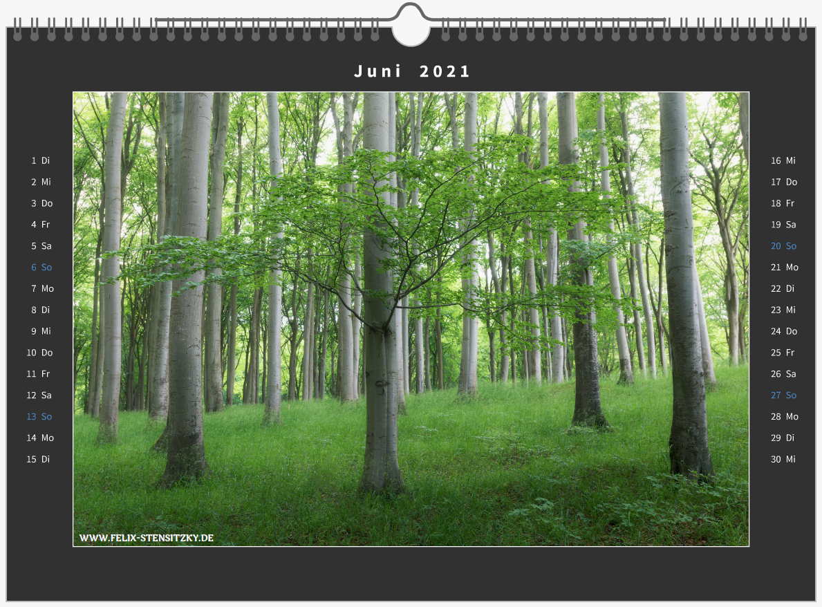 Kalenderbild vom Buchenwald im Nationalpark Jasmund