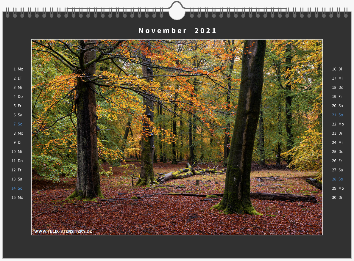 Urwald mit Buchen im Herbst - Kalenderfoto