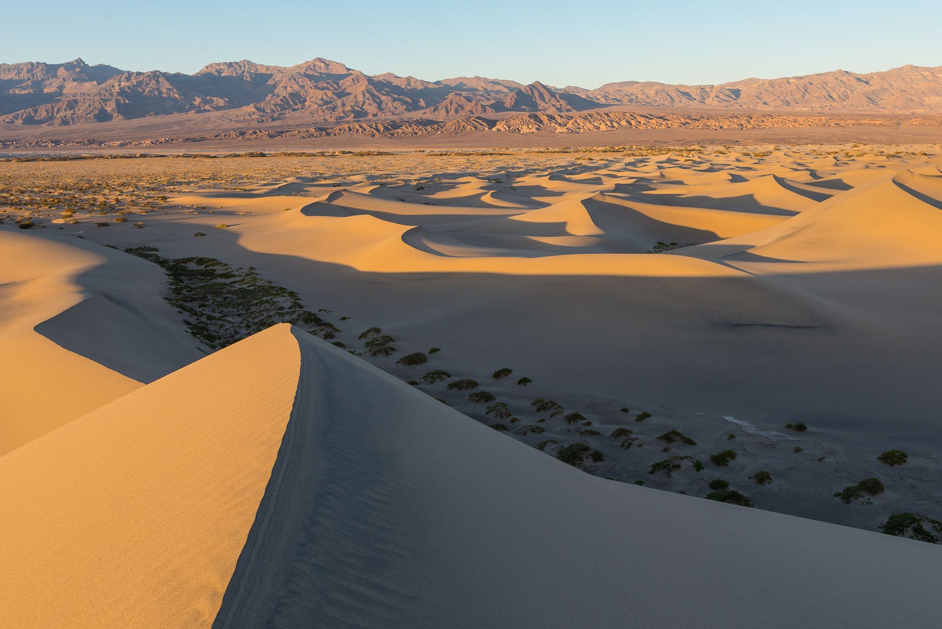 sand dunes in death valley national park with the last light of the day