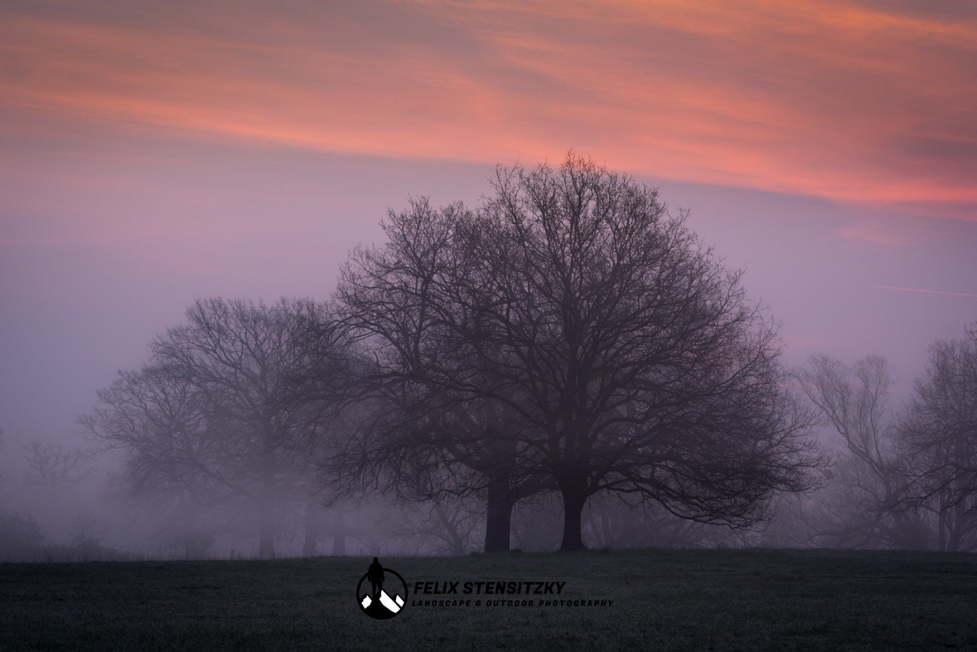 fog in a meadow at sunrise with colourful sunrise