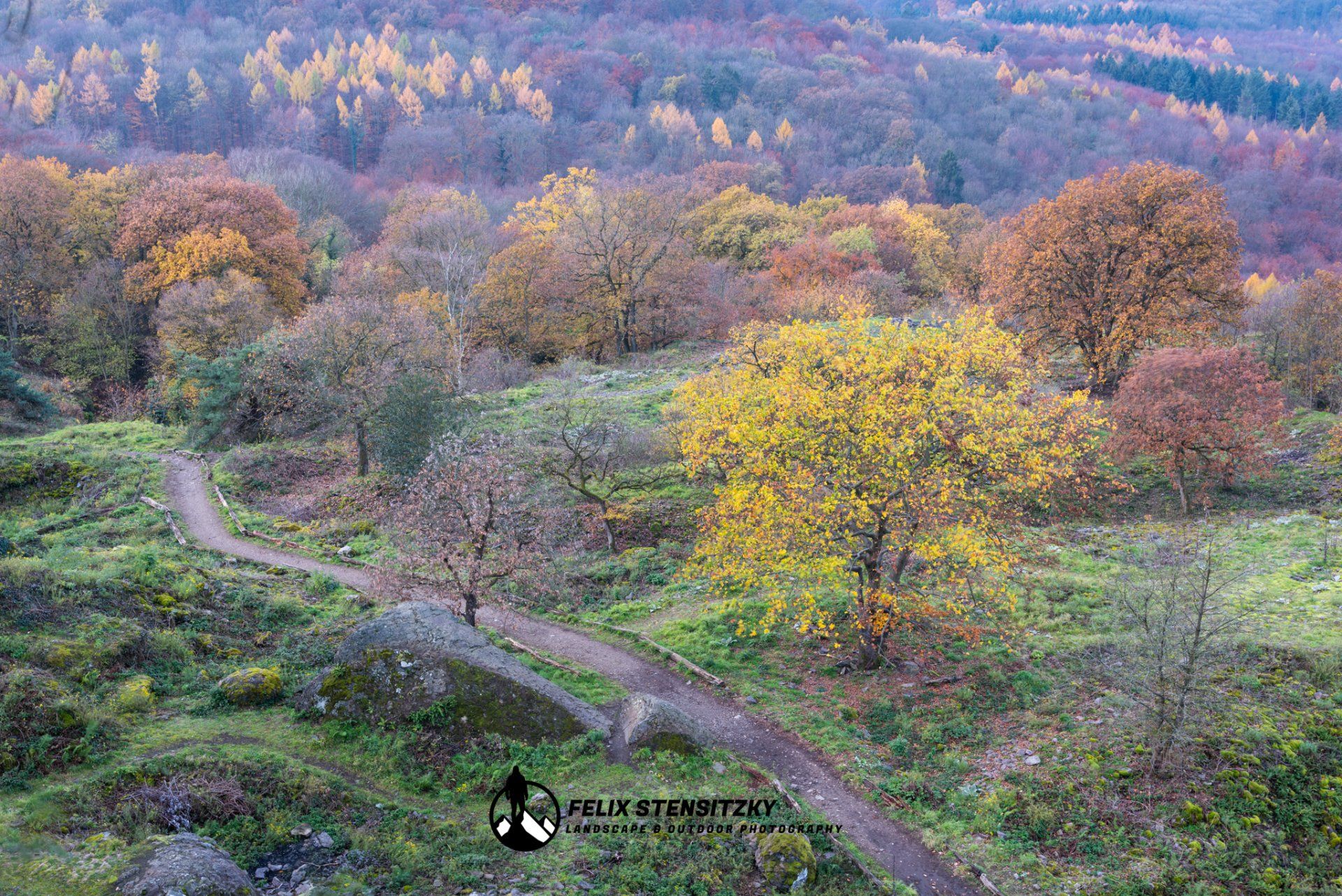 autumn landscape near Bonn Germany
