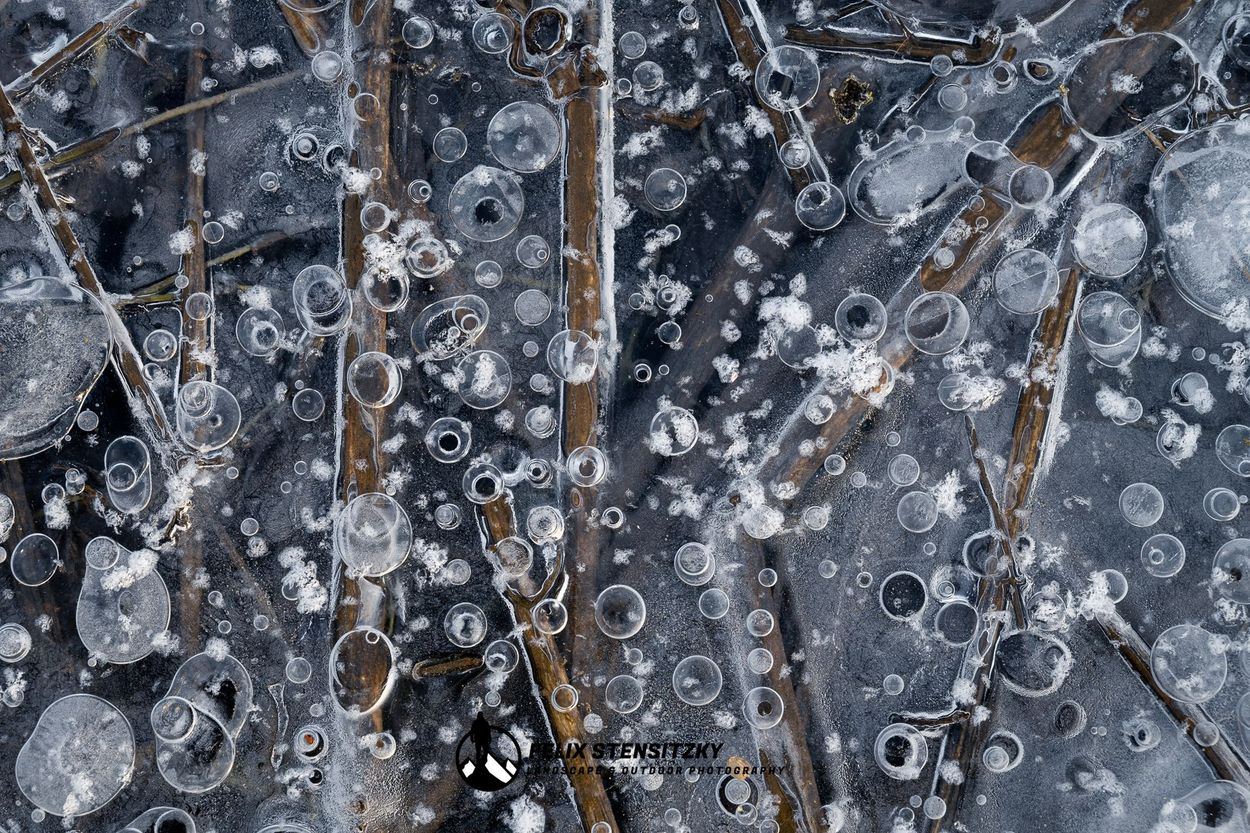 Detailfoto von gefrorenen Luftblasen und Reisig