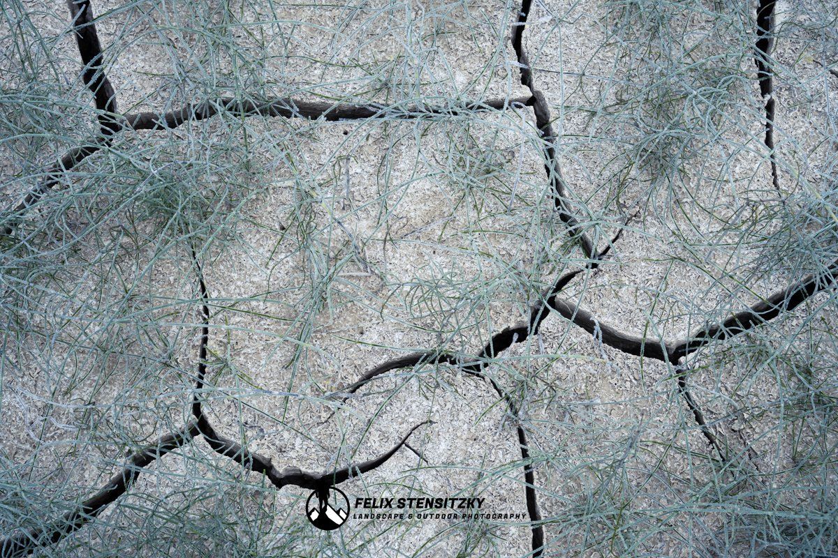 mud cracks in einem Flussbett in den Dolomiten