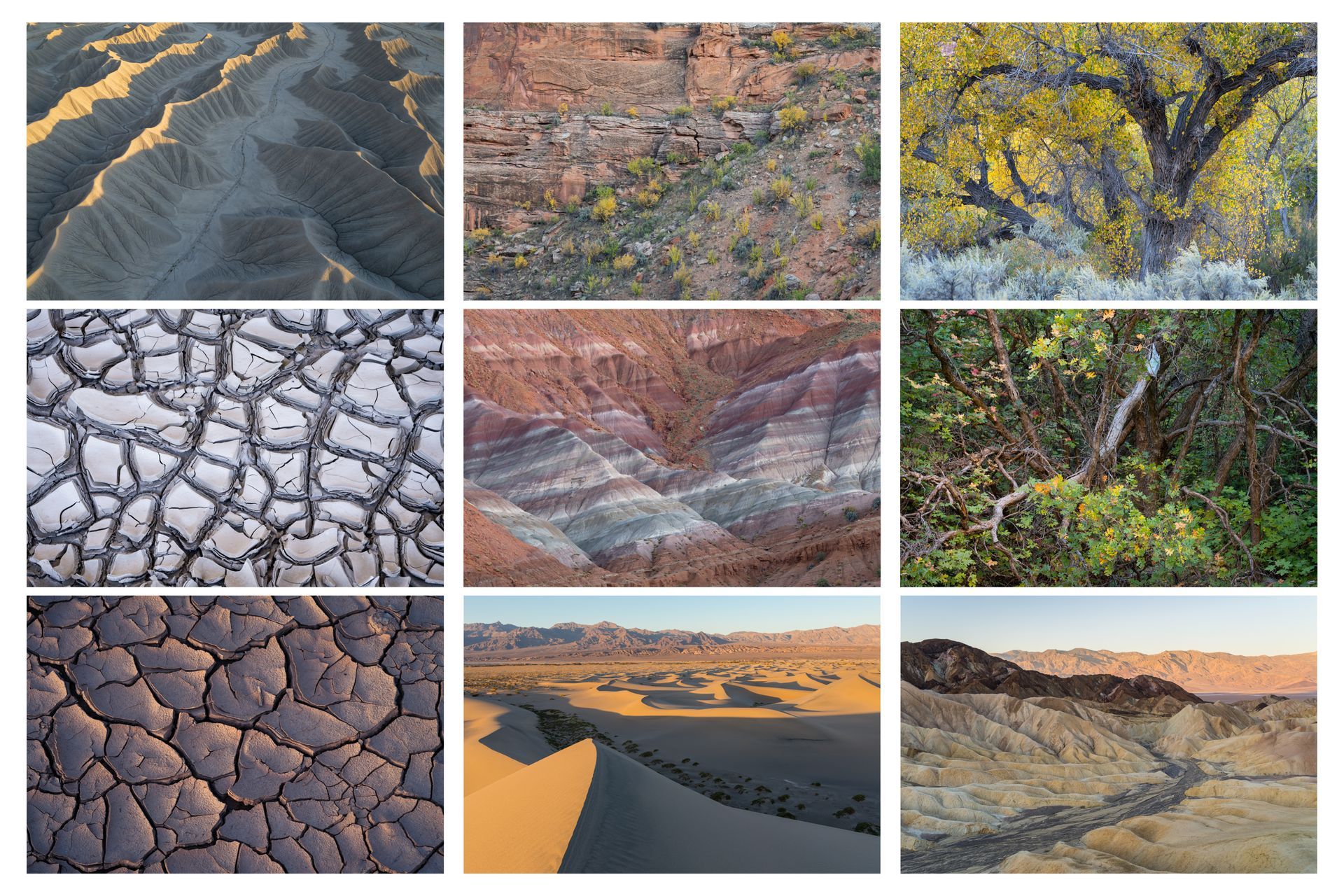 Preview of a landscape photography gallery with desert images