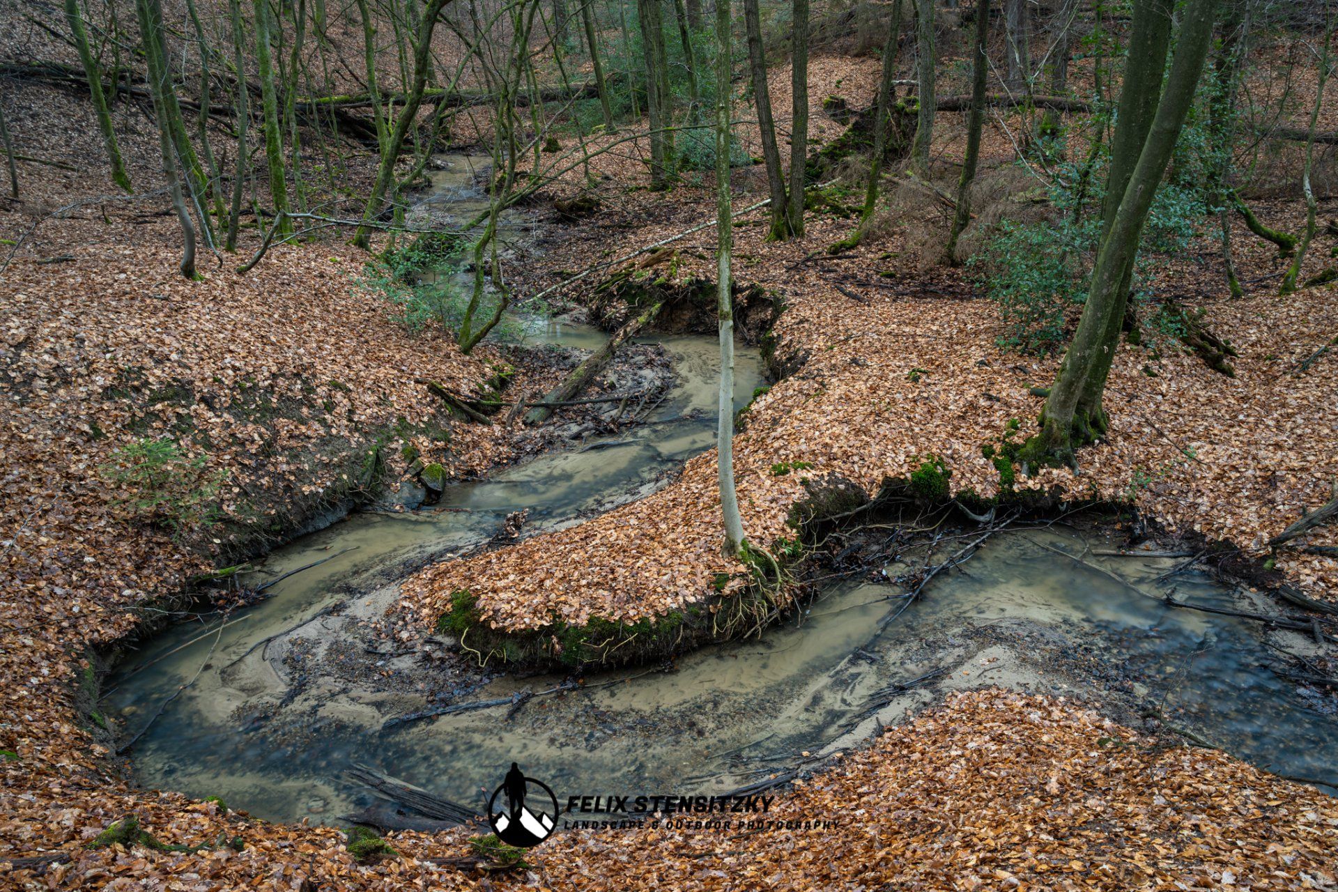 ein Bach schlängelt sich durch den Wald im Rheinland